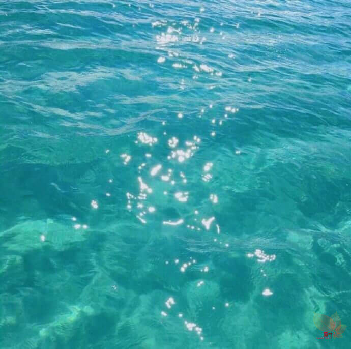 晚安心语优美191107:我一野马,谈什么归途