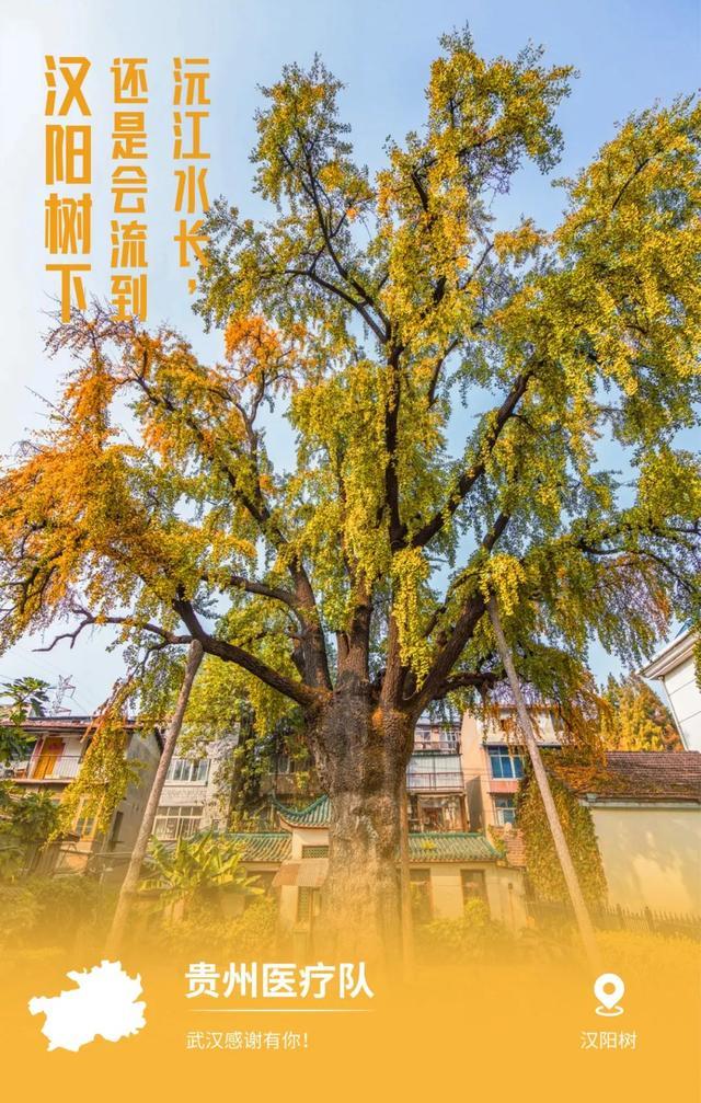 31省市支援湖北海报