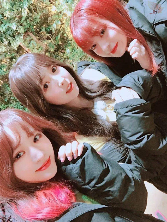 Honey Popcorn：逐梦，就是摔破了膝盖也要爬起来的过程