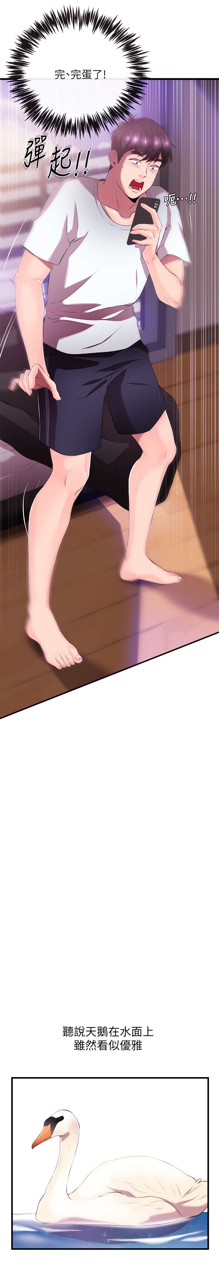 新闻主播 01