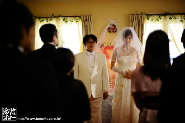 花の嫁--婚纱系列合集