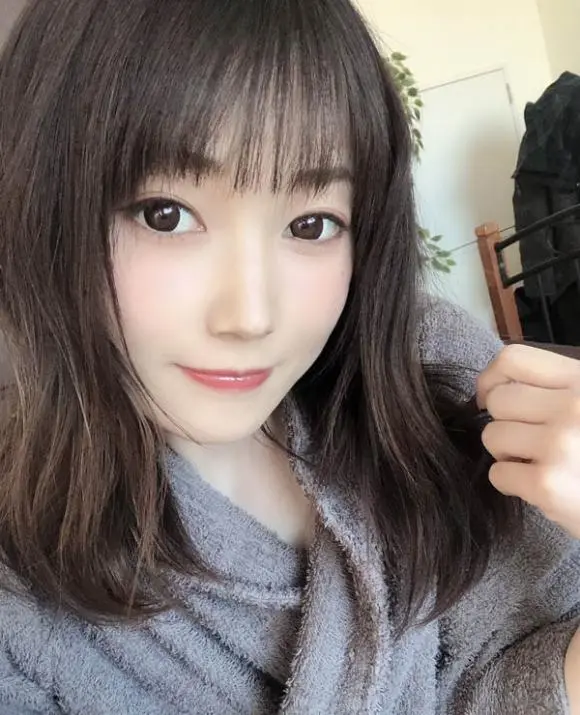 本田もも(本田桃，Honda-Momo)经典作品封面合集（附番号）2024