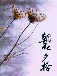 我的朝花夕拾（七）