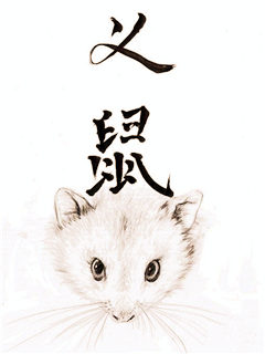 义鼠