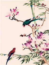 烟花烫