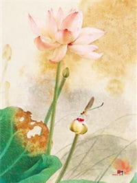 梦里花开