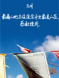 街角的祝福