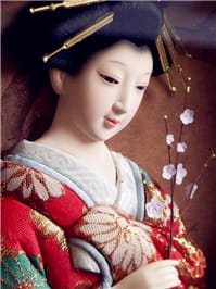 明治维新前的日本，艺妓被关在笼子供人观赏