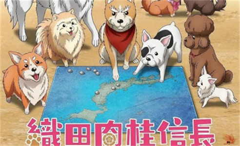 织田肉桂信长：当战国武将转世成狗