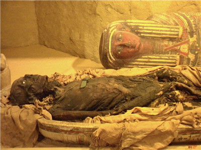 别只嘲笑中医，洋医也吃“人血馒头”