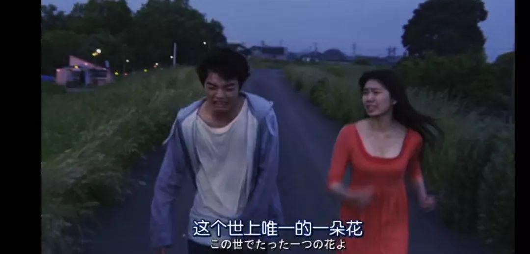 像苍蝇掉进牛奶，黑白一目了然