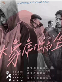 蝼蚁茫然前行，大象席地而坐