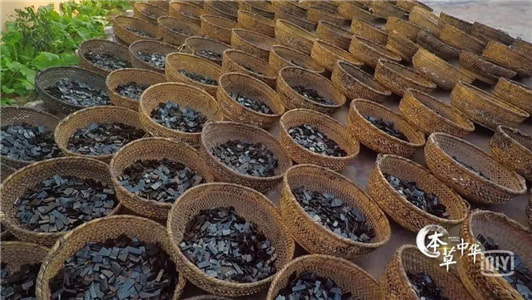 本草中华：用中药丈量我们的山川江海